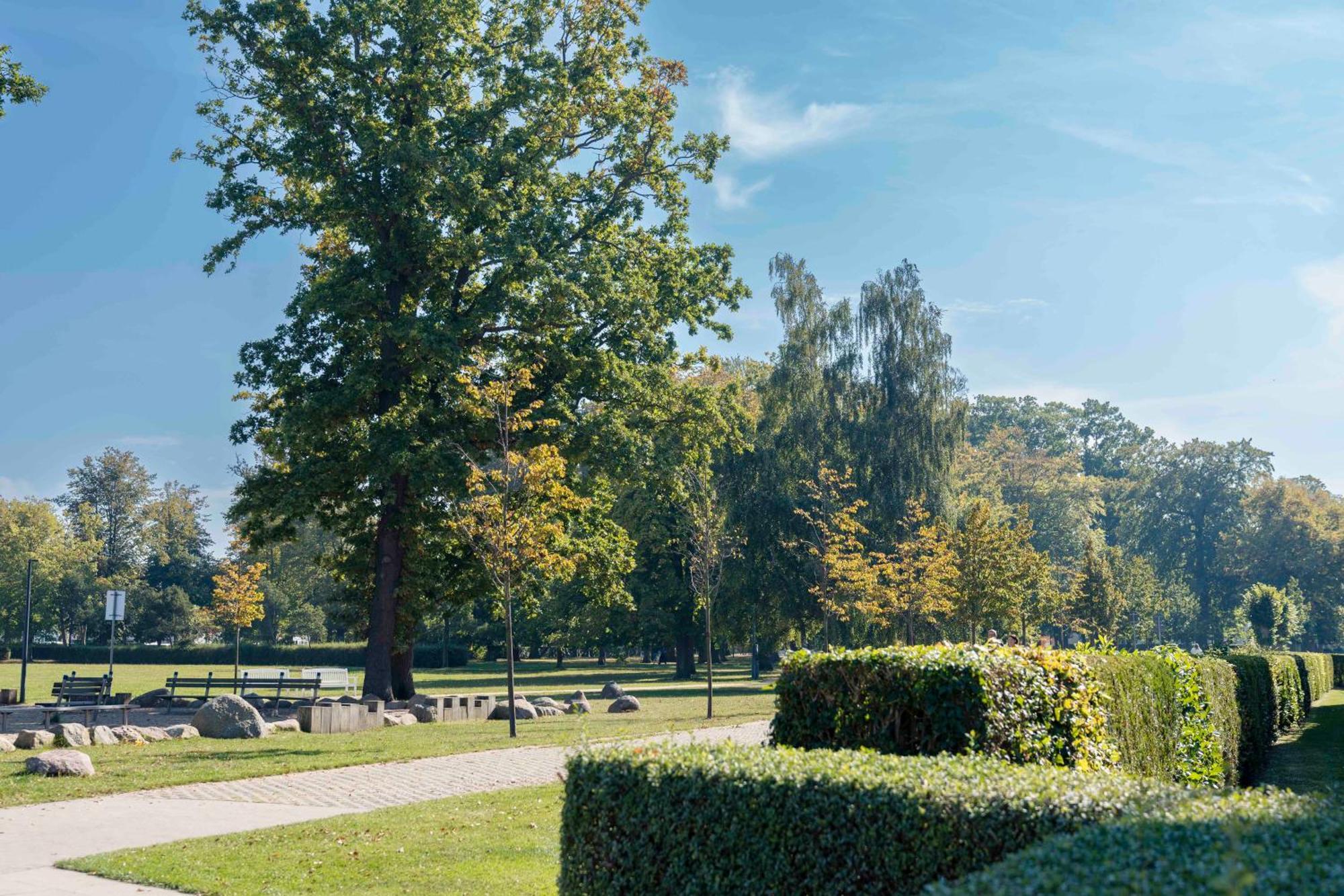 Meergut Hotels Kuhlungsborn Bagian luar foto